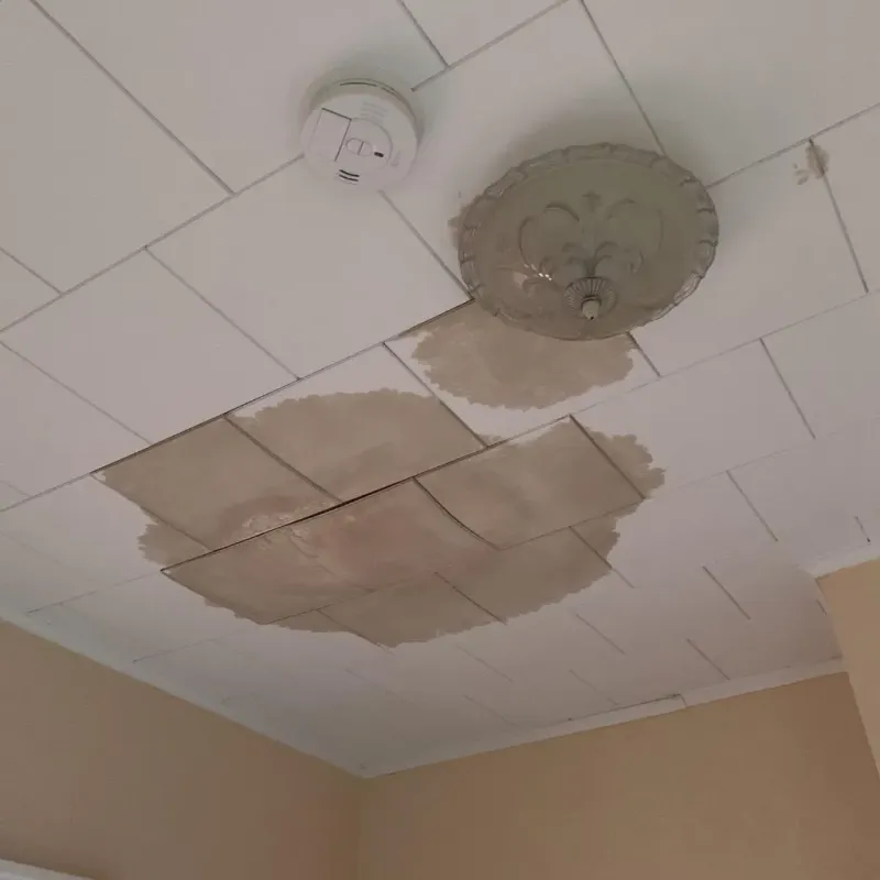 Ceiling Water Damage Repair in Wayne County, TN