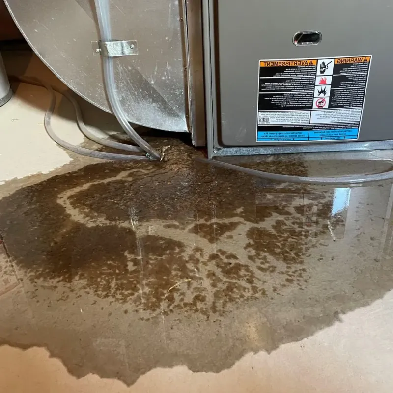 Pipe Burst and Leak Restoration in Wayne County, TN